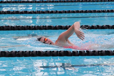 GALLERY: Swimming Carnival Gallery Image 5